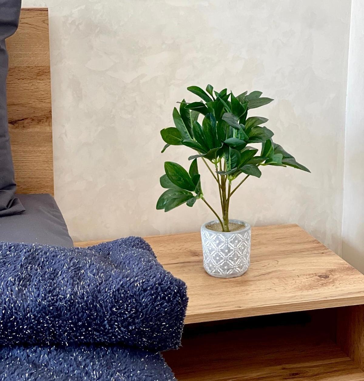 Urbain Elegant Et Chic Apartment Agadir